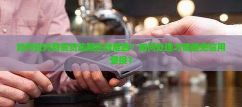 如何应对薪易贷逾期还款难题？如何处理才能避免信用受损？