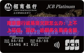南京银行诚易贷欠款怎么办：上不上征信，现状，逾期多久要求全额还款，好下款吗，逾期20天要求全部还清？