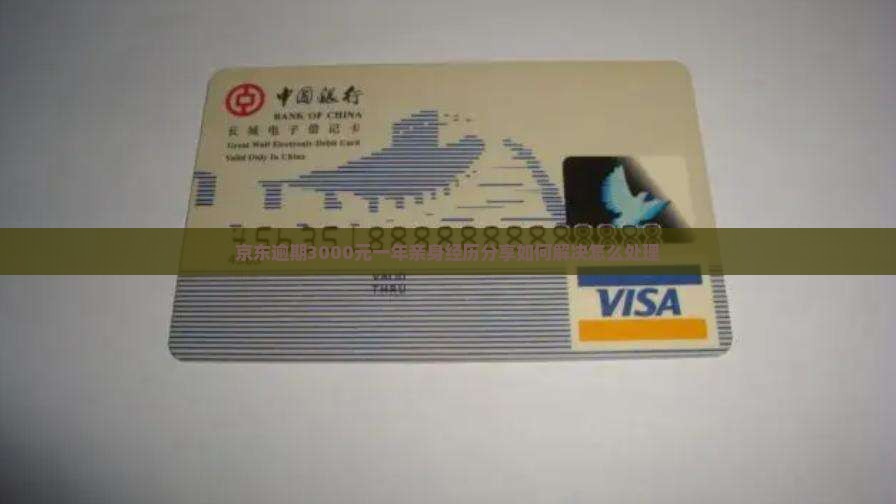 京东逾期3000元一年亲身经历分享如何解决怎么处理