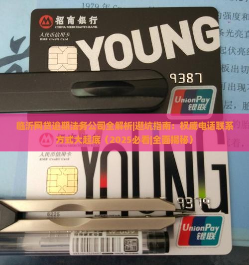 临沂网贷逾期法务公司