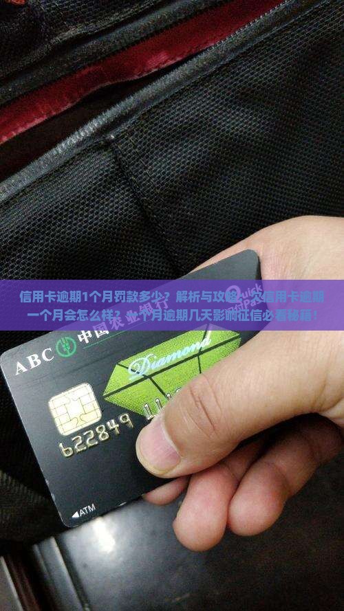 信用卡逾期1个月罚款多少