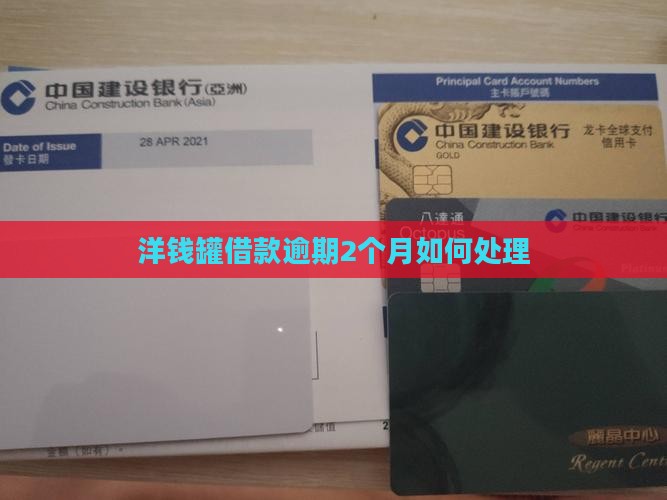 洋钱罐借款逾期2个月如何处理