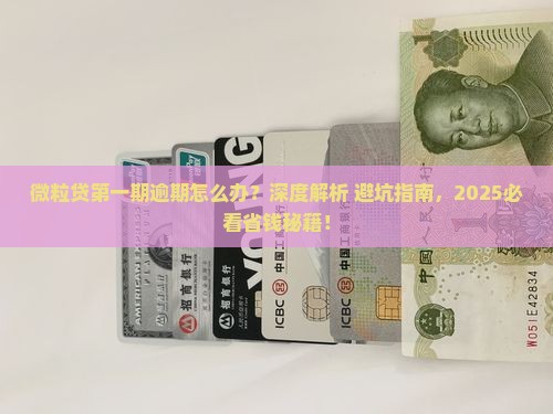 微粒贷第一期怎么办逾期处理