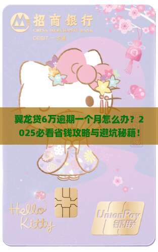 翼龙贷6万逾期一个月应该怎么处理