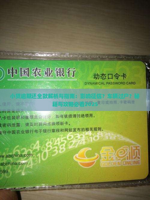 小贷逾期还全款
