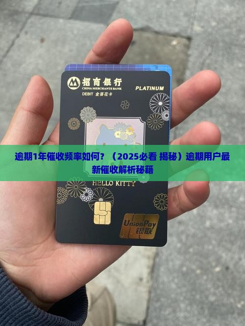 逾期1年催收频率如何