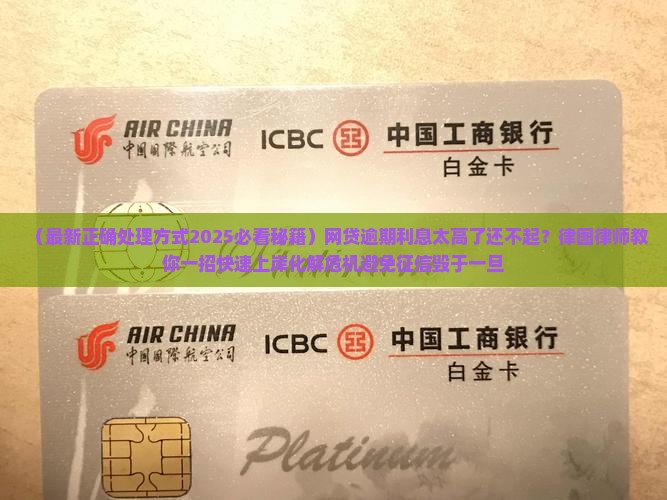 网贷逾期了利息太高了还不起如何解决