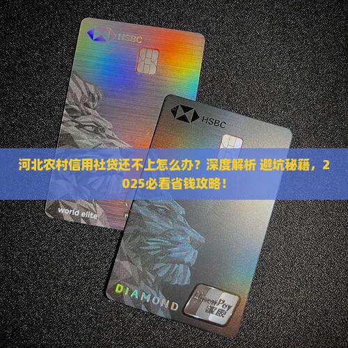 河北农村信用社贷还不上会怎么办