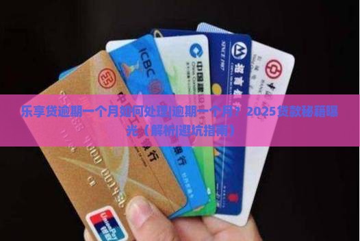 乐享贷逾期一个月如何处理