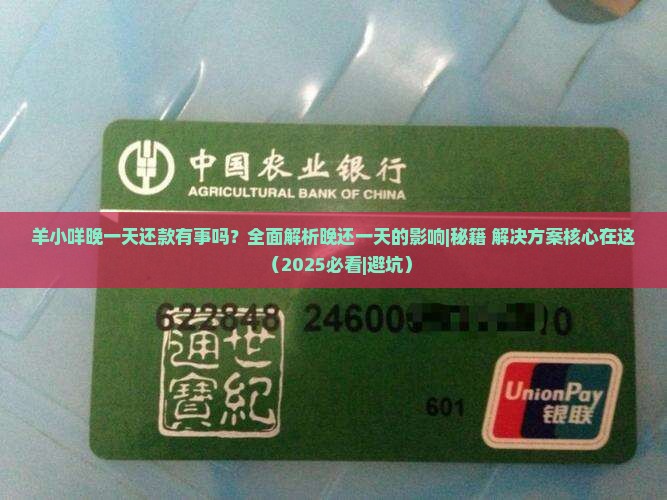羊小咩晚一天还款有事吗