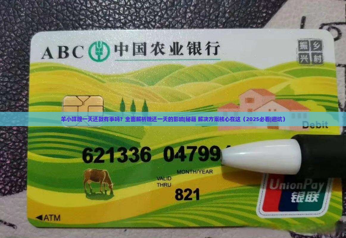 羊小咩晚一天还款有事吗
