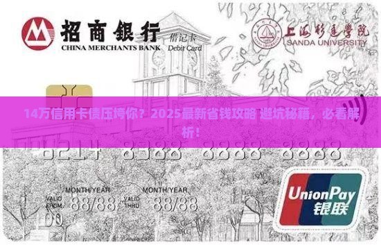 9张信用卡欠款14万元怎么办
