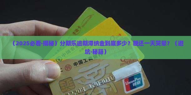 分期乐逾期的滞纳金是多少