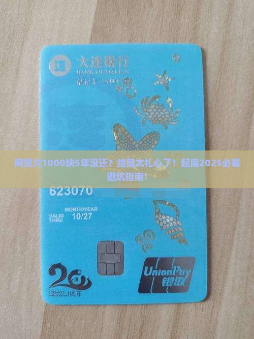 网贷借了1000元5年没还
