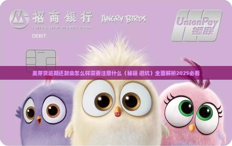 麦芽贷逾期还款会怎么样需要注意什么