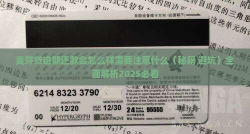麦芽贷逾期还款会怎么样需要注意什么