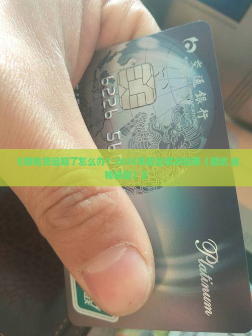 微粒贷贷款了还不上怎么办解决方法