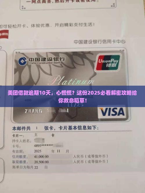美团借款逾期10天怎么办