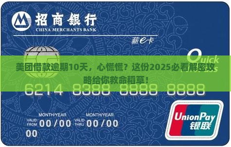 美团借款逾期10天怎么办