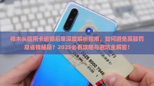 樟木头信用卡逾期后果的处理方式