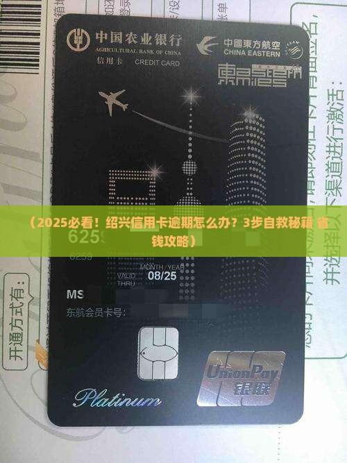 绍兴信用卡逾期处理服务