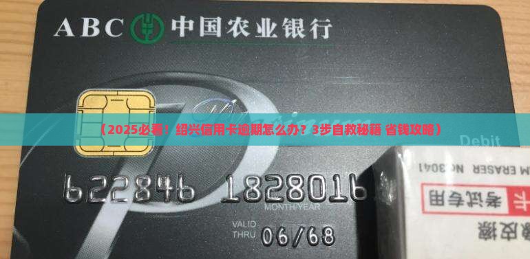 绍兴信用卡逾期处理服务