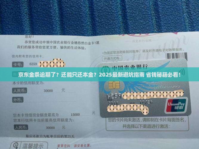 京东金条逾期可以还本金吗