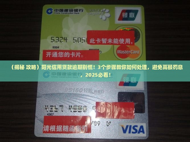 阳光信用贷款逾期如何处理