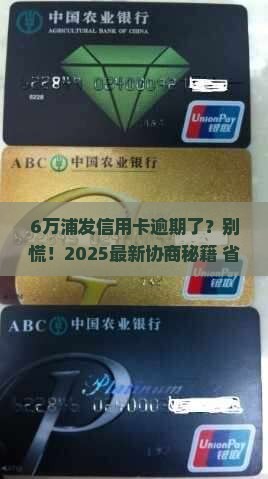 浦发信用卡6万逾期协商