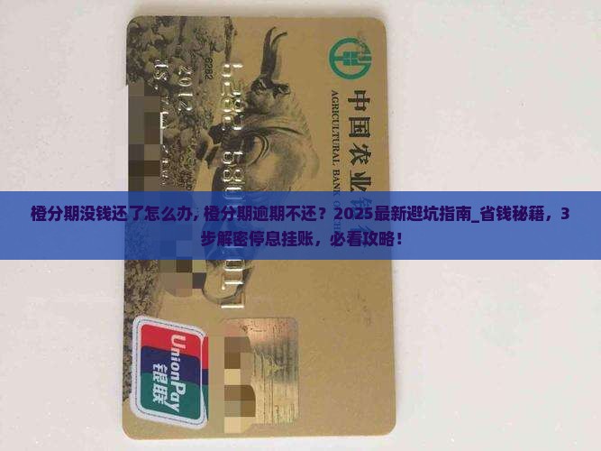 橙分期没钱还了怎么办