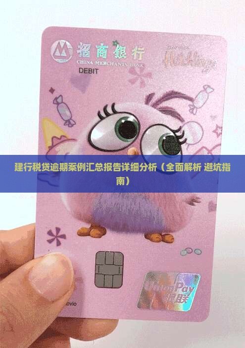 建行税贷逾期案例汇总报告详细分析