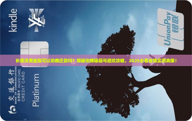长银消费金融可以协商还款吗
