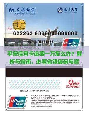 平安信用卡欠款1万怎么办