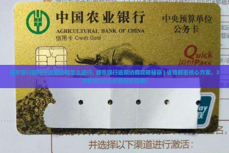 盛京银行信用卡逾期协商怎么进行