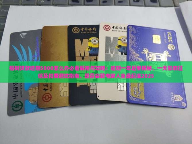 榕树贷款逾期5000怎么办