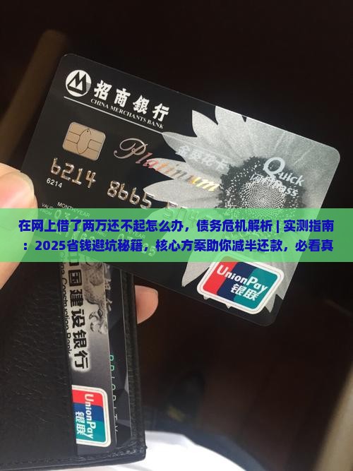 在网上借了两万还不起怎么办