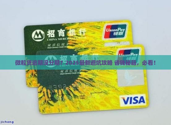 微粒贷逾期未分期怎么办