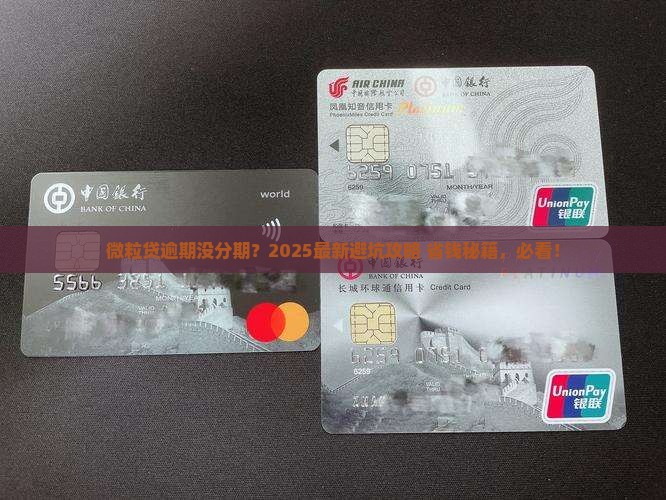 微粒贷逾期未分期怎么办