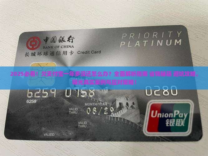 欠支付宝一年多没还怎么办需要注意什么