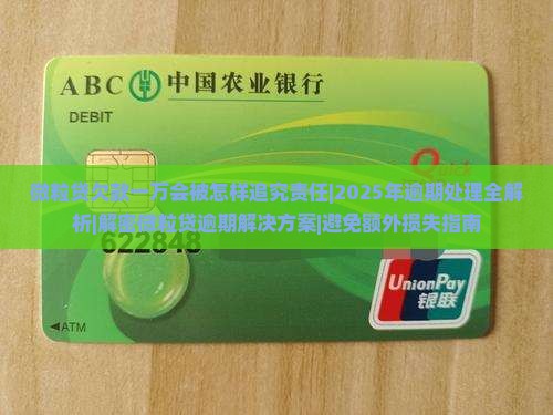 微粒贷欠款一万会被怎样追究责任