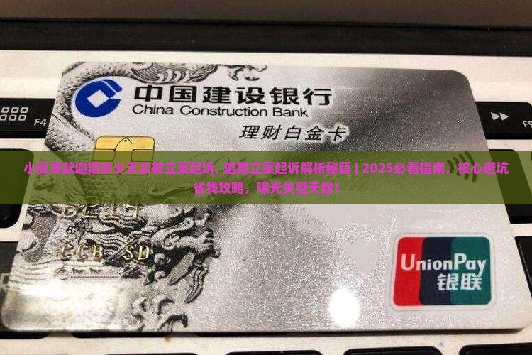 小额贷款逾期多少天会被立案起诉
