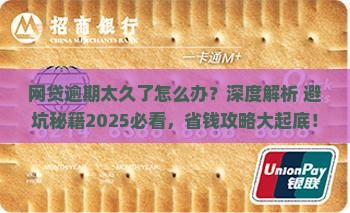 网贷逾期太久了怎么办