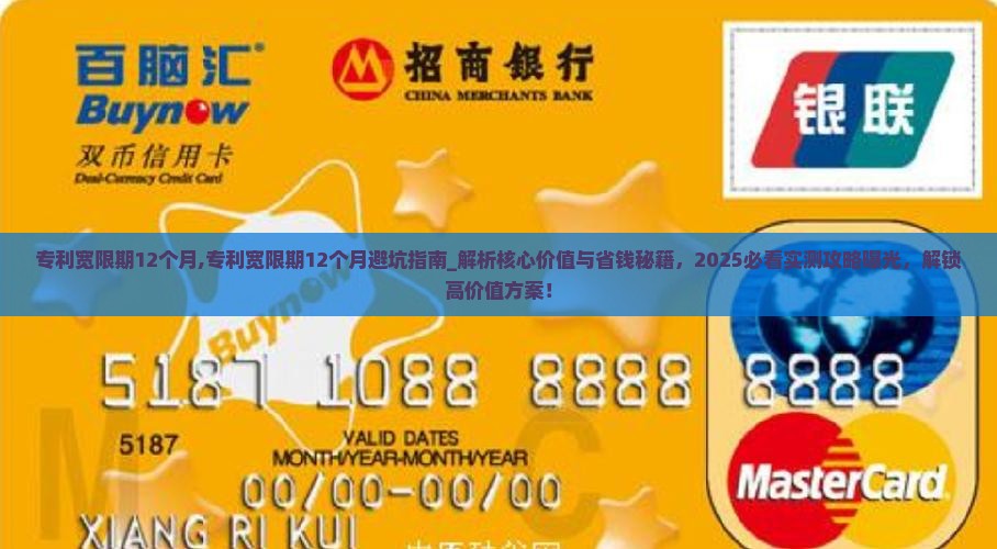 专利宽限期12个月