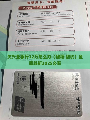 欠兴业银行12万怎么办