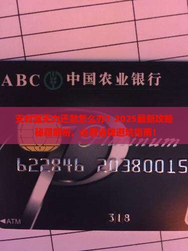 支付宝无力还款如何处理