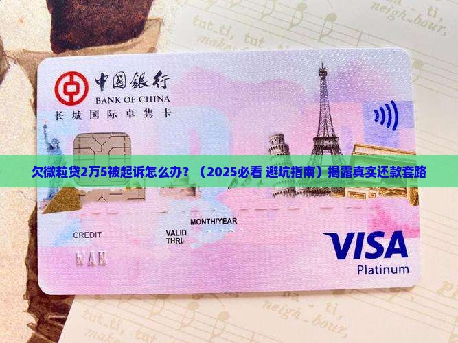欠微粒贷2万5被起诉怎么办