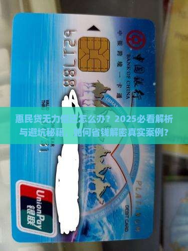惠民贷无力偿还什么意思