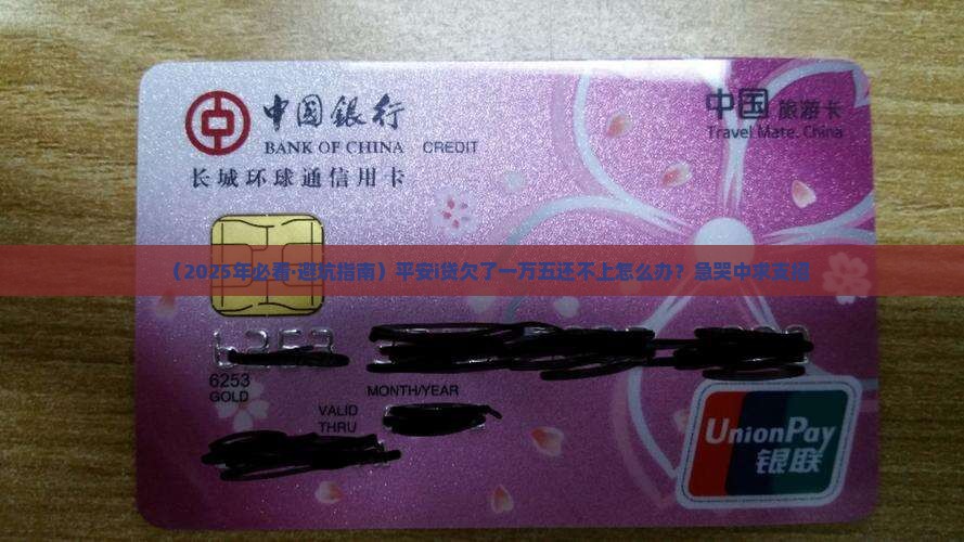 平安i贷欠款一万多还不上会被起诉吗如何处理