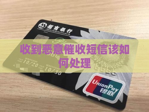 收到恶意催收短信该如何处理