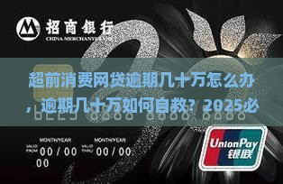 超前消费网贷逾期几十万怎么办